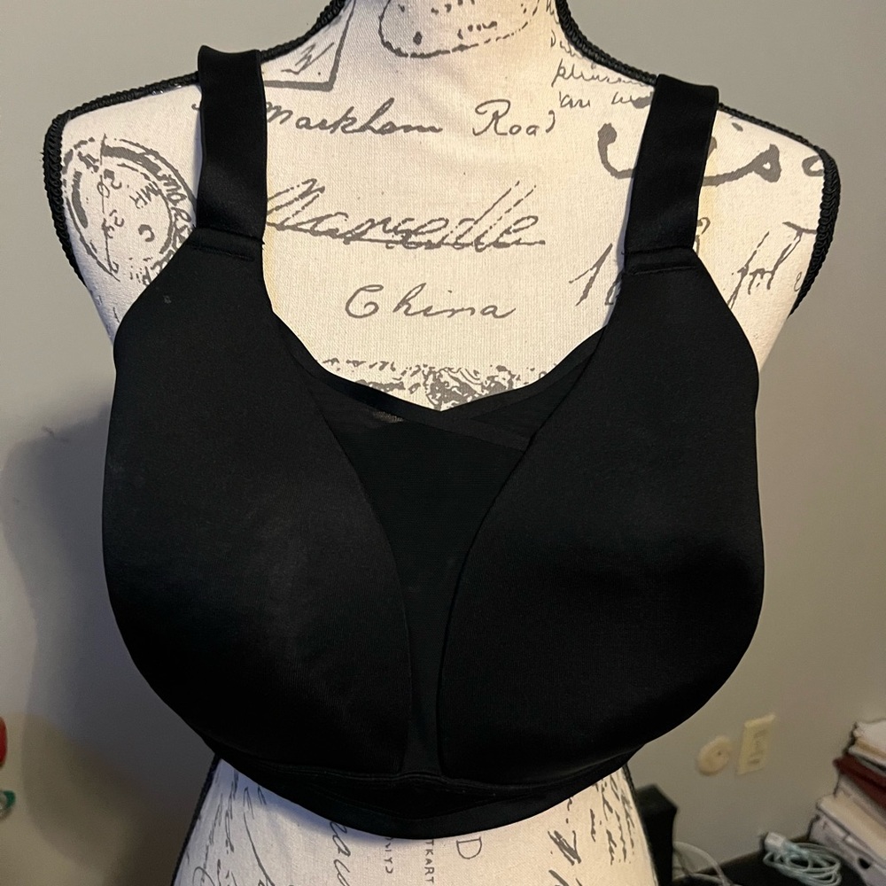 Lane Bryant sports bra